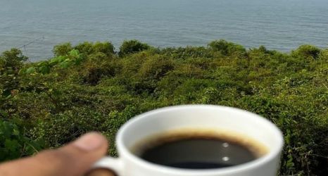 その他 2 Aalayah Stays