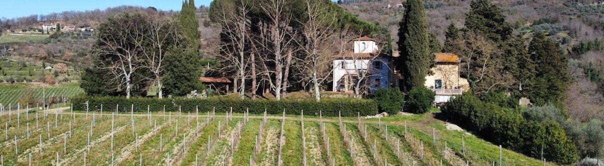 Others Azienda agricola Frascole