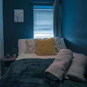 Room1卡迪夫市中心兩床公寓附停車位,格兰奇敦公寓