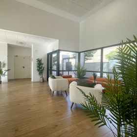 Reception 1 Amazinn Places, Balneario de Ledesma Hotels