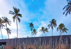 其他 4 Taboo Milagres