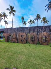 其他 4 Taboo Milagres