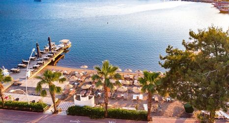 기타 2 Marbas Select Beach +14