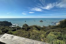 其他 Turtle Rocks Oceanfront Inn