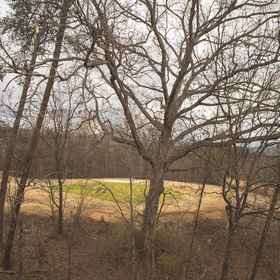 Imej utama 1 GV - Unit 1502 - Happy Time Bear, Pigeon Forge Apartments