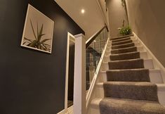 Others 3 Bellerose 1