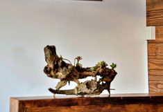 Others 2 HANZ Rio Villa Dalat