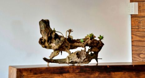 Others 2 HANZ Rio Villa Dalat