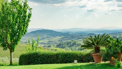 Others 4 Independent Luxury Villa With Pool and Jacuzzi in the Chianti Region-podere Degli DEI