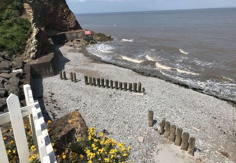 Others Oyster Catchers