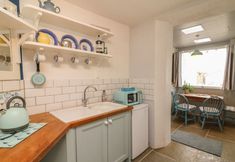 Others 5 Oyster Catchers