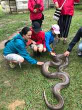 Others 4 Reserva Natural Yavary Tucano