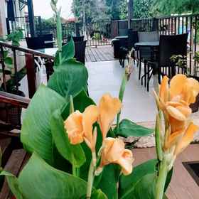 Primary image1Pousada Vitória,州长卡洛斯·威尔逊机场 (FEN)飯店