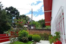 其他 RECANTO VIRGINIA BRACELLI