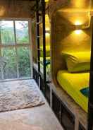 Room Wonderland Jungle Hostel