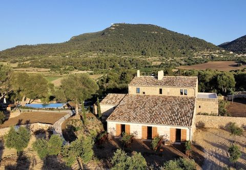 Others Treurer Olive Grove & Grand House - Adults Only