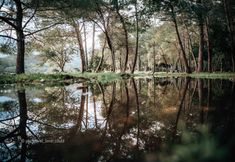 Others 5 Liman Apart Kemer