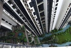 Others 4 MCity Infinity pool KLCC