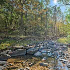 Interior1卡茨基爾山的家,附有甲板 ~ 距 Zoom Flume 1 英里,Hero's Quest Collectables飯店