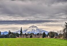 Others 2 Cute & Cozy PDX Area Townhouse: 31 Mi to Mt. Hood!