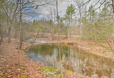 Others 7 Old Time Catskill Mtn Retreat, Handcrafted Cabin!