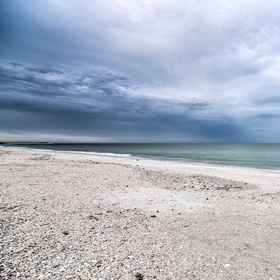 Primary image 1 步行3个街区走向海滩历史博物馆的单元!, 埃克德学院 酒店