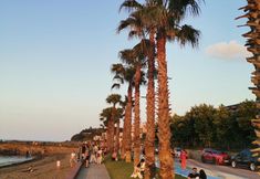 其他 6 GREEN CİTY YALINCAK