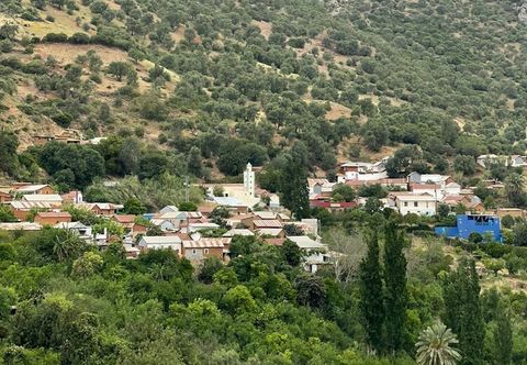 其他 DAR LALA ZHOUR