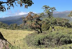 อื่นๆ 4 Anabas Mount Kenya Lodge