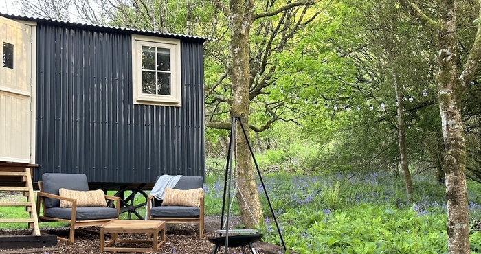 Lain-lain Cornwall Woodland Shepherds Hut- Dennis' Hut