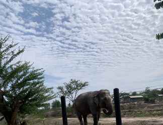 Khác 2 Elephant View Camp