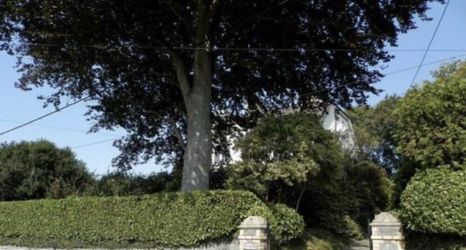 其他 2 House of Brohedyn