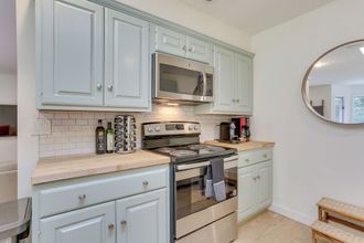 其他 4 Charming Swan Lake Apartment w/ Deck!