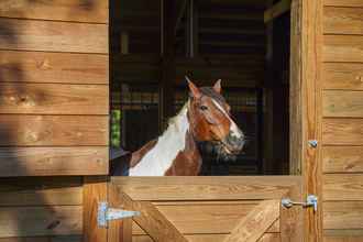 Lain-lain 4 Farm Stay: Modern Barndominium in Lakeland!