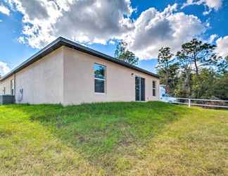 Others 2 Spring Hill Home: 5 Mi to Weeki Wachee Park!