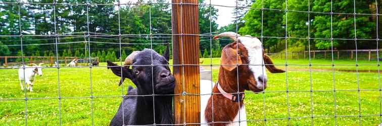 Others Pisgah Forest Farm Home: Outdoor Pool & Games