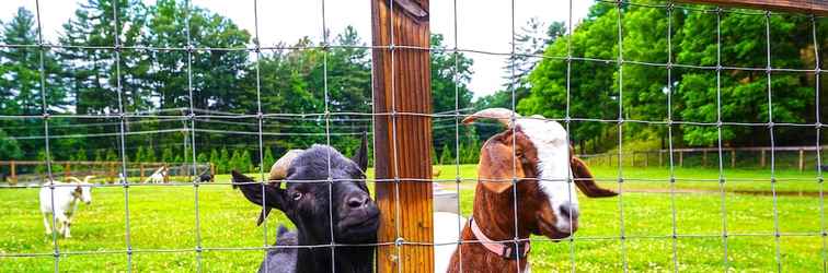 Lain-lain Pisgah Forest Farm Home: Outdoor Pool & Games