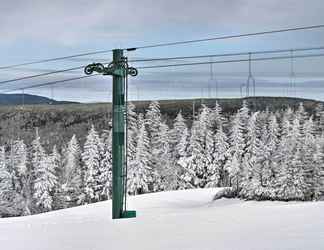 อื่นๆ 2 West Virginia Cabin Near Snowshoe Mountain Resort