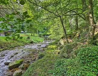 Others 2 Peaceful Roan Mountain Escape: On-site Creek!