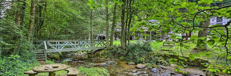 Lain-lain The Chalet Retreat Cabin Across From Creek!