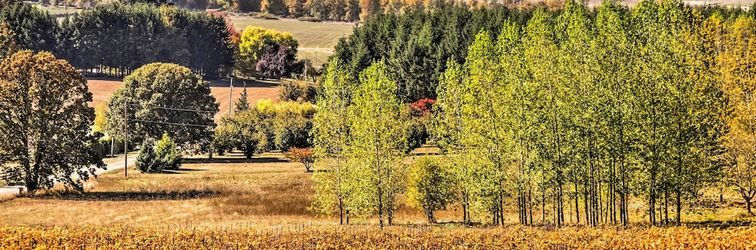 其他 Chic Willamette Valley Home w/ Deck & Vineyard!