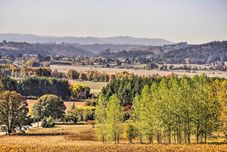 其他 Chic Willamette Valley Home w/ Deck & Vineyard!