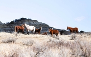 Lain-lain 7 'badlands Suite' < 1 Mi to Teddy Roosevelt Park!