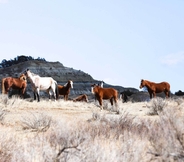 Others 7 'badlands Suite' < 1 Mi to Teddy Roosevelt Park!