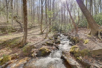 Others 4 Peaceful Sylva Cabin w/ Mtn Views & Creek!