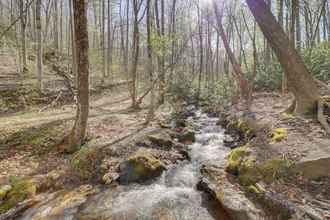 Lain-lain 4 Peaceful Sylva Cabin w/ Mtn Views & Creek!