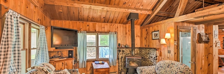 Others Pet-friendly Cabin in The Forks w/ Fire Pit!