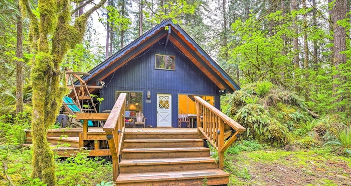 Lain-lain Peaceful Wooded Cabin By Mt. Baker Ski Area!