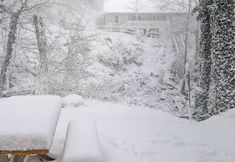 Others 7 14 Mi to Beech Mountain: Home w/ Grills!
