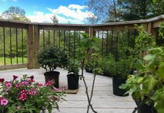 其他 7 Cozy Cabin in the Woods By Ashokan Reservoir